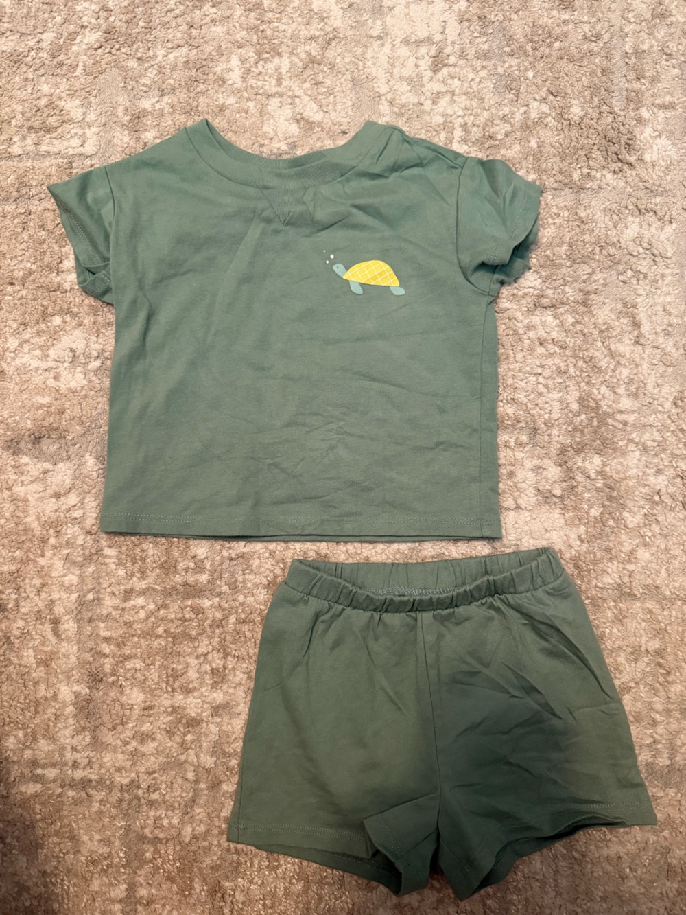 cloud island Green Short Sleeve Turtle matching Set size 12M
